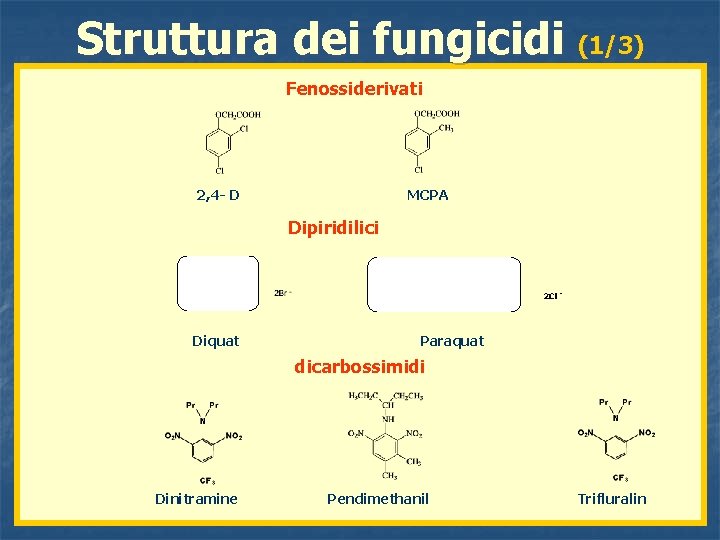 Struttura dei fungicidi (1/3) Fenossiderivati 2, 4 - D MCPA Dipiridilici 2 Cl -