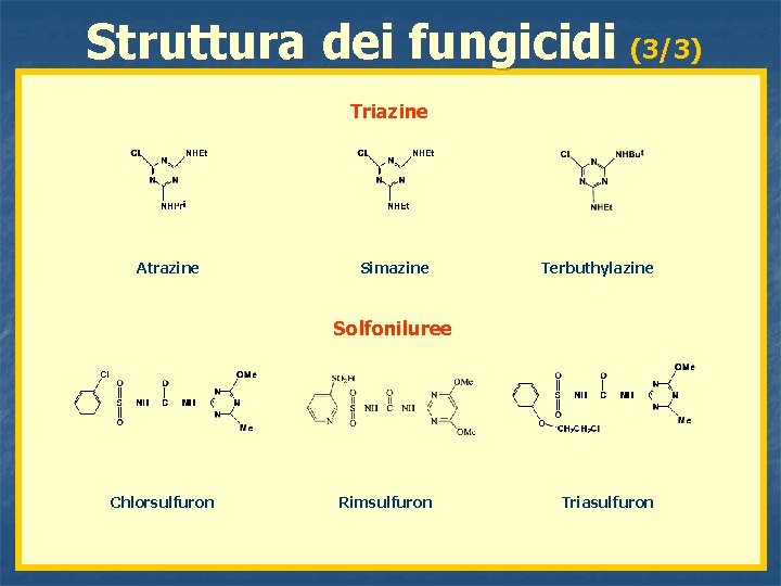 Struttura dei fungicidi (3/3) Triazine Atrazine Simazine Terbuthylazine Solfoniluree Chlorsulfuron Rimsulfuron Triasulfuron 