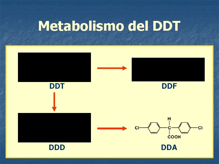 Metabolismo del DDT DDF DDD DDA 