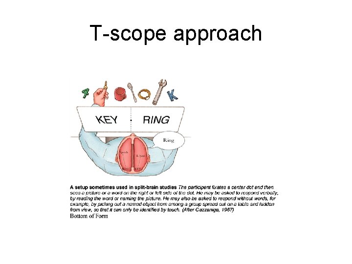 T-scope approach 