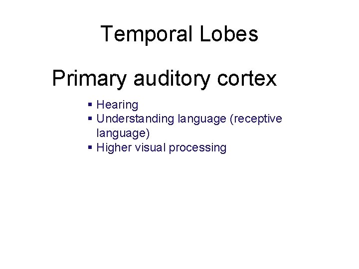 Temporal Lobes Primary auditory cortex Hearing Understanding language (receptive language) Higher visual processing 