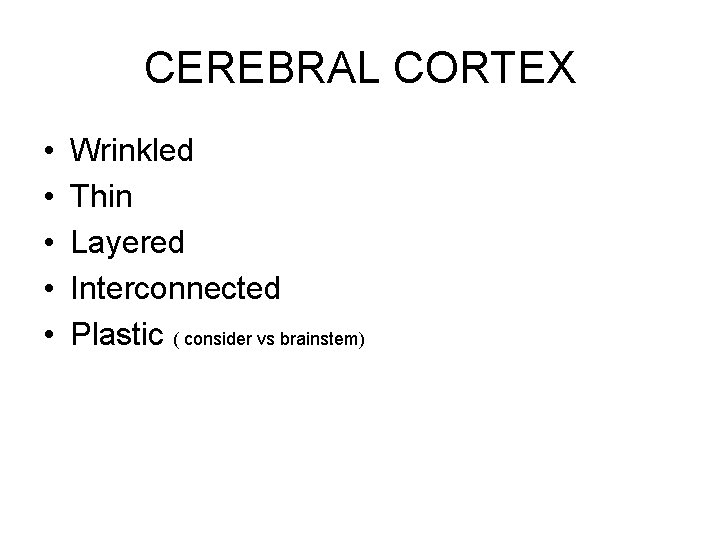 CEREBRAL CORTEX • • • Wrinkled Thin Layered Interconnected Plastic ( consider vs brainstem)