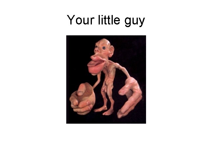 Your little guy 