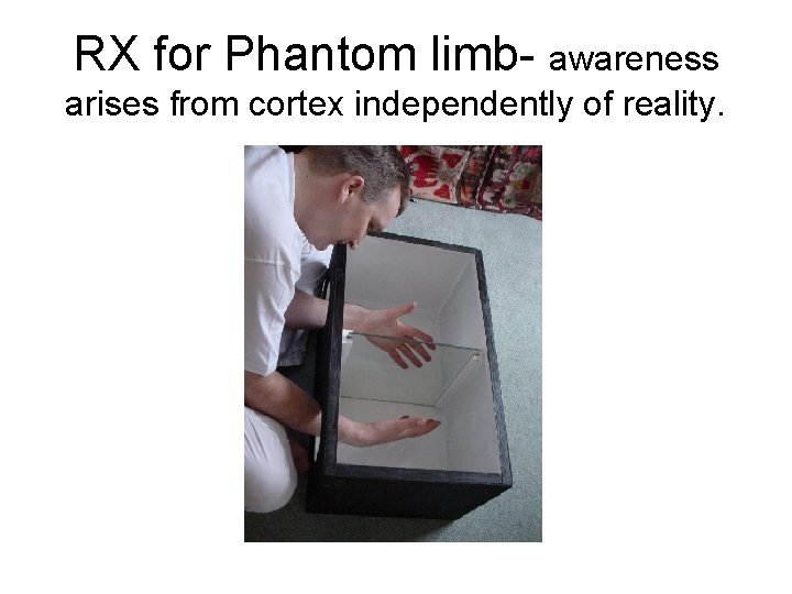 RX for Phantom limb- awareness arises from cortex independently of reality. 