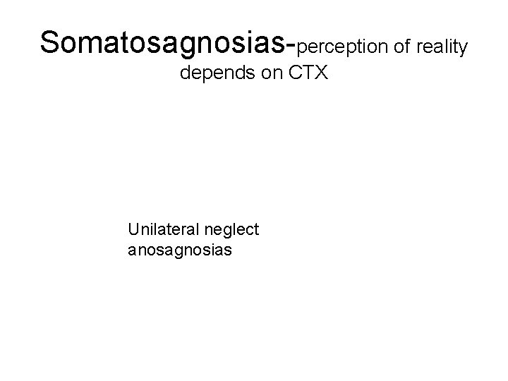 Somatosagnosias-perception of reality depends on CTX Unilateral neglect anosagnosias 