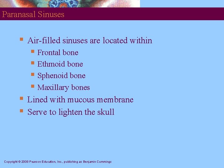 Paranasal Sinuses § Air-filled sinuses are located within § Frontal bone § Ethmoid bone