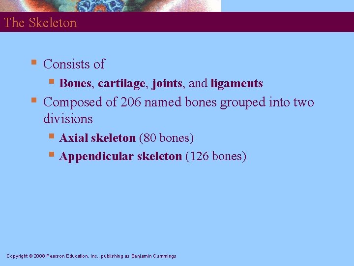 The Skeleton § Consists of § Bones, cartilage, joints, and ligaments § Composed of