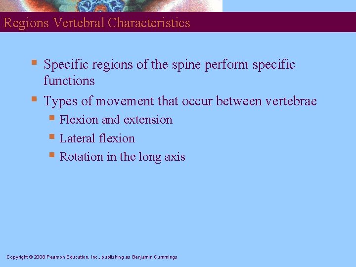 Regions Vertebral Characteristics § § Specific regions of the spine perform specific functions Types