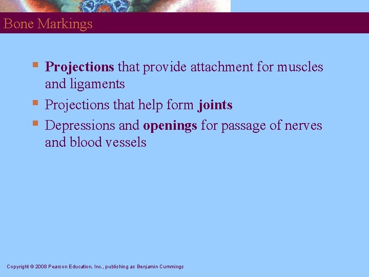 Bone Markings § § § Projections that provide attachment for muscles and ligaments Projections