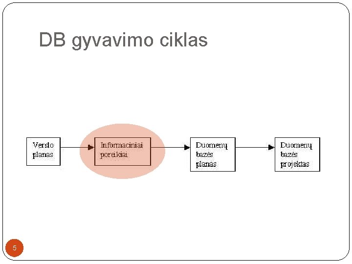 DB gyvavimo ciklas 5 