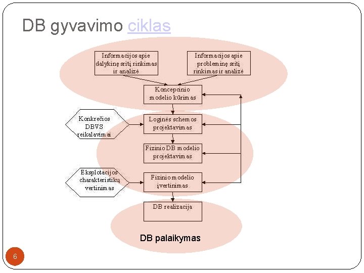 DB gyvavimo ciklas DB palaikymas 6 