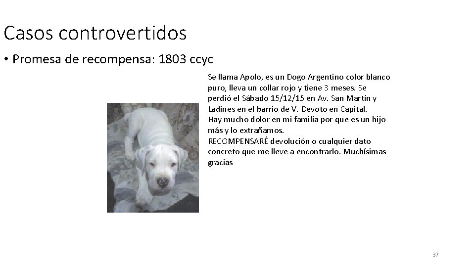 Casos controvertidos • Promesa de recompensa: 1803 ccyc Se llama Apolo, es un Dogo