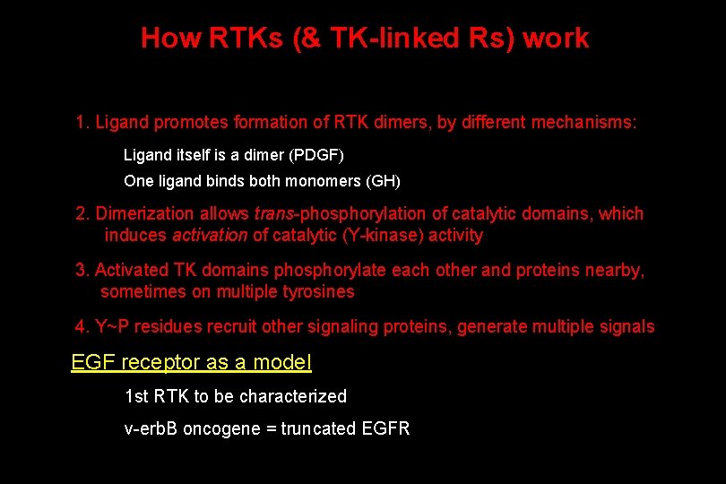 How RTKs (& TK-linked Rs) work 1. Ligand promotes formation of RTK dimers, by