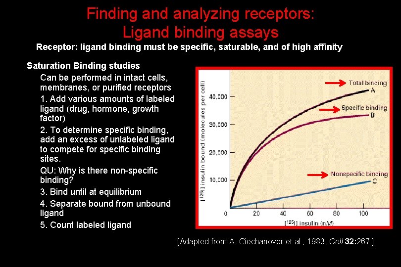 Finding and analyzing receptors: Ligand binding assays Receptor: ligand binding must be specific, saturable,