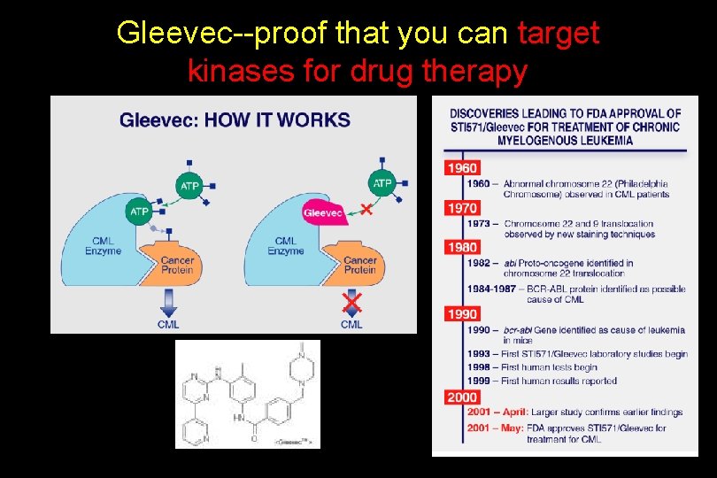 Gleevec--proof that you can target kinases for drug therapy 
