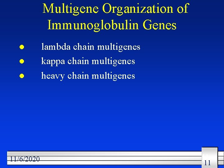 Multigene Organization of Immunoglobulin Genes l l l 11/6/2020 lambda chain multigenes kappa chain