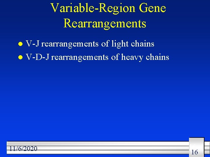 Variable-Region Gene Rearrangements V-J rearrangements of light chains l V-D-J rearrangements of heavy chains