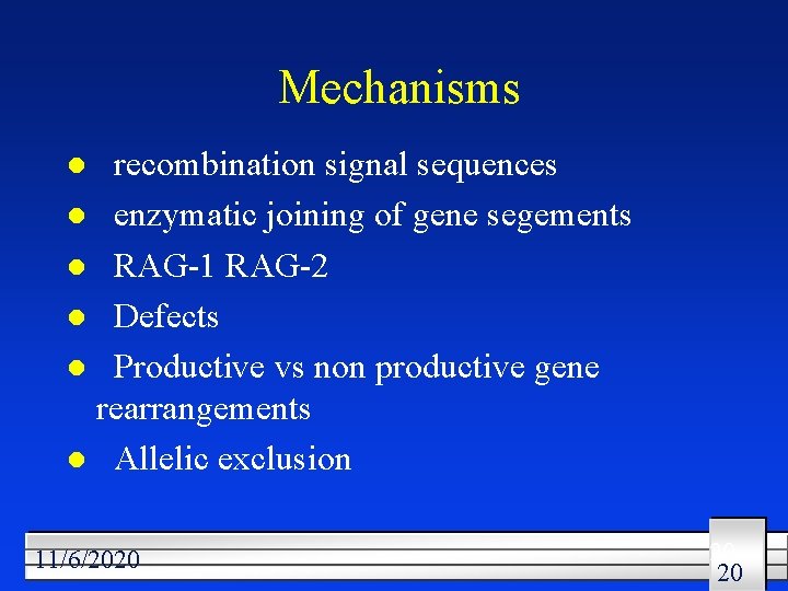 Mechanisms recombination signal sequences l enzymatic joining of gene segements l RAG-1 RAG-2 l