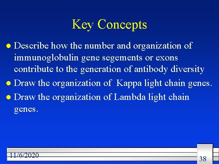 Key Concepts Describe how the number and organization of immunoglobulin gene segements or exons