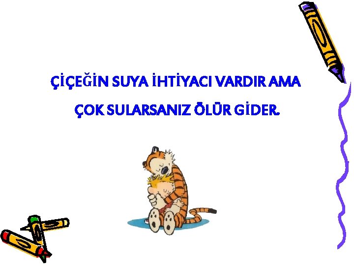 ÇİÇEĞİN SUYA İHTİYACI VARDIR AMA ÇOK SULARSANIZ ÖLÜR GİDER. 