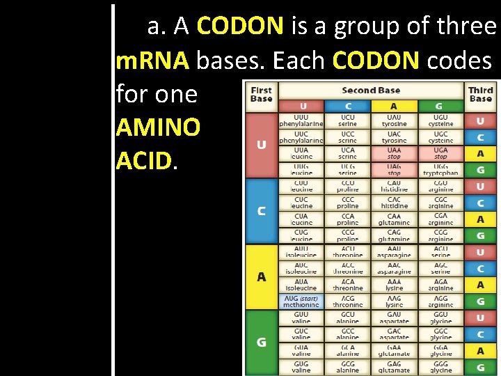 a. A CODON is a group of three m. RNA bases. Each CODON codes