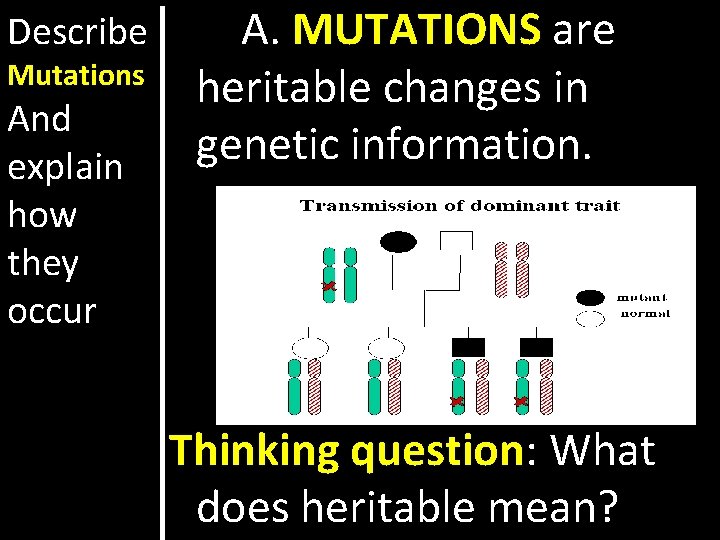 Describe Mutations And explain how they occur A. MUTATIONS are heritable changes in genetic