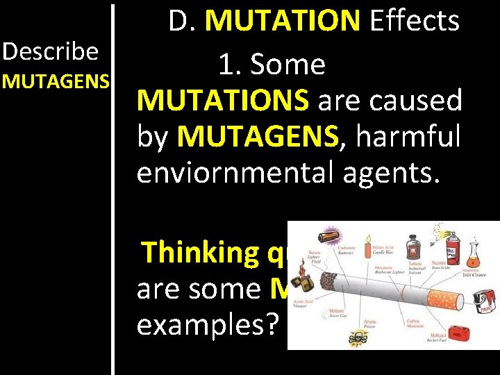 Describe MUTAGENS D. MUTATION Effects 1. Some MUTATIONS are caused by MUTAGENS, harmful enviornmental