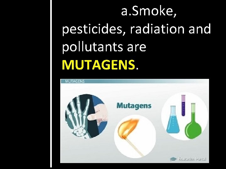 a. Smoke, pesticides, radiation and pollutants are MUTAGENS. 