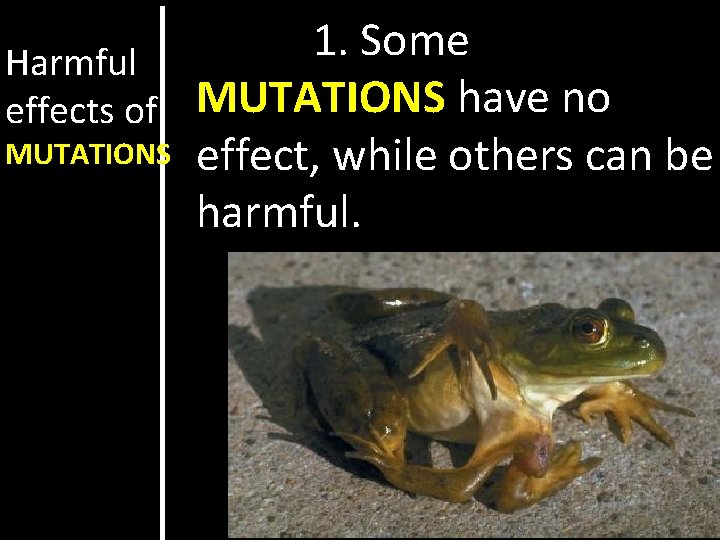 1. Some Harmful effects of MUTATIONS have no MUTATIONS effect, while others can be