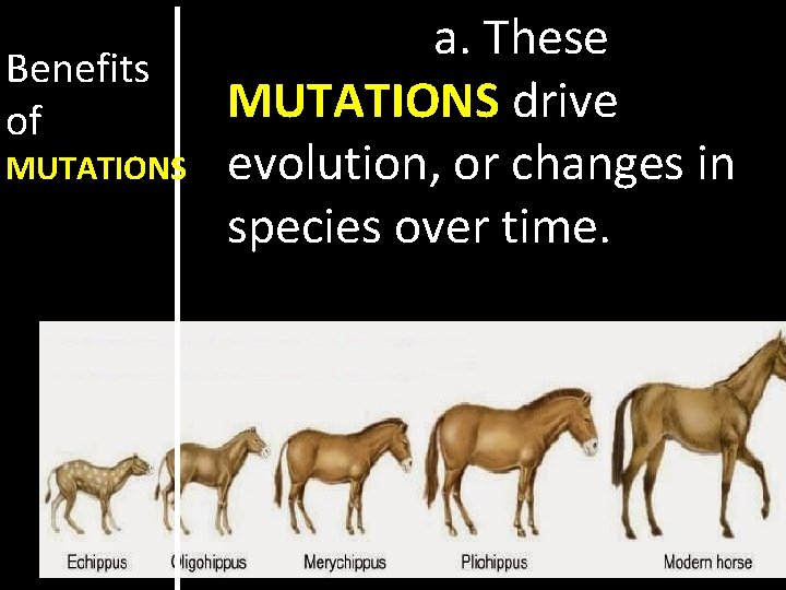 Benefits of MUTATIONS a. These MUTATIONS drive evolution, or changes in species over time.