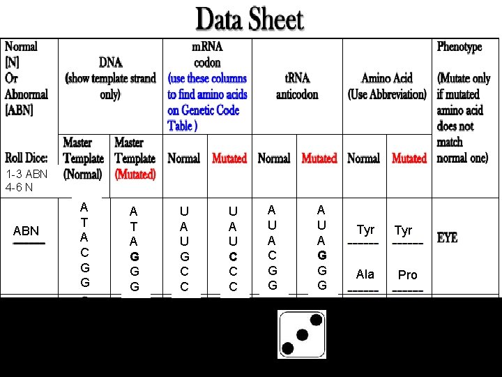 1 -3 ABN 4 -6 N ABN A T A C G G A