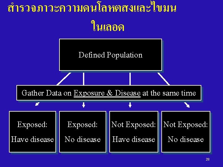 สำรวจภาวะความดนโลหตสงและไขมน ในเลอด Defined Population Gather Data on Exposure & Disease at the same time