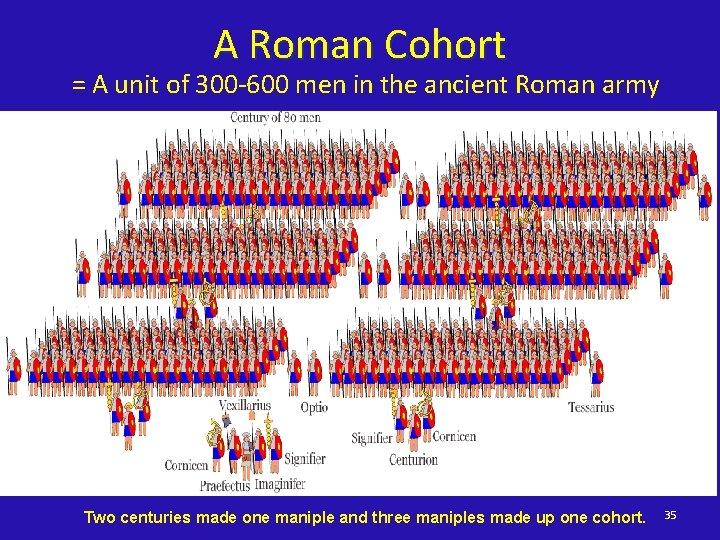 A Roman Cohort = A unit of 300 -600 men in the ancient Roman