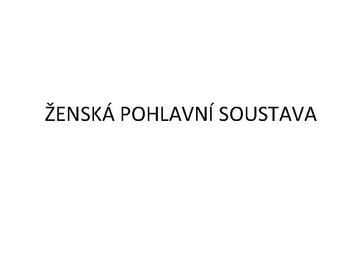 ŽENSKÁ POHLAVNÍ SOUSTAVA 