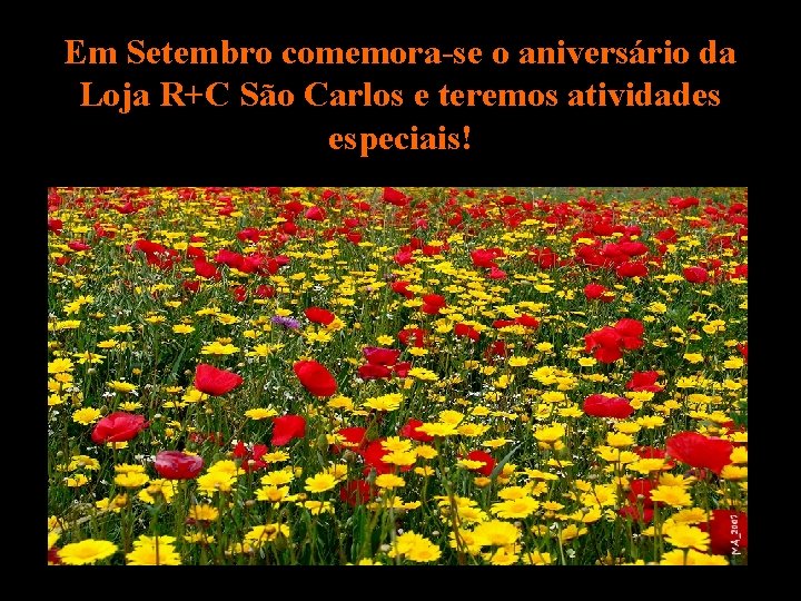 Em Setembro comemora-se o aniversário da Loja R+C São Carlos e teremos atividades especiais!