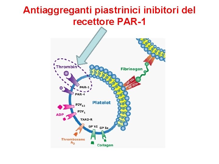 Antiaggreganti piastrinici inibitori del recettore PAR-1 