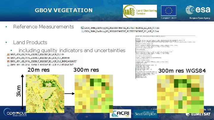 GBOV VEGETATION • Reference Measurements • Land Products including quality indicators and uncertainties 20