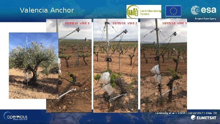 Valencia Anchor 27/07/17 VINE 1 10/05/18 VINE 1 10/03/17 VINE 1 27/07/17 VINE 2