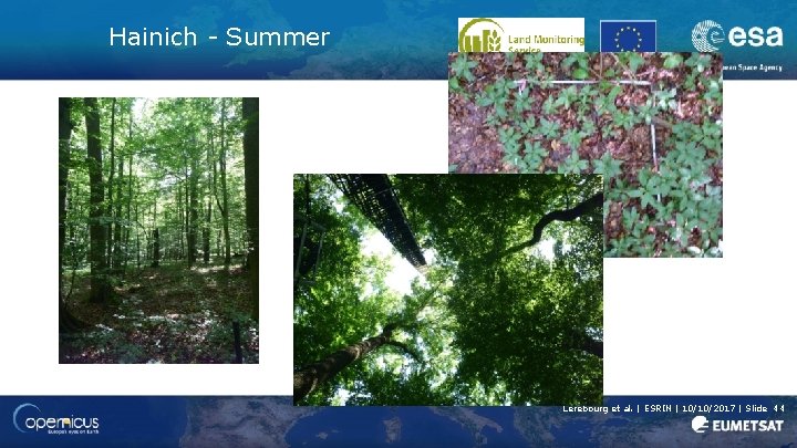 Hainich - Summer Lerebourg et al. | ESRIN | 10/10/2017 | Slide 44 