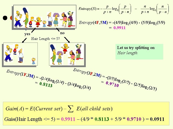 Entropy(4 F, 5 M) = -(4/9)log 2(4/9) - (5/9)log 2(5/9) = 0. 9911 no