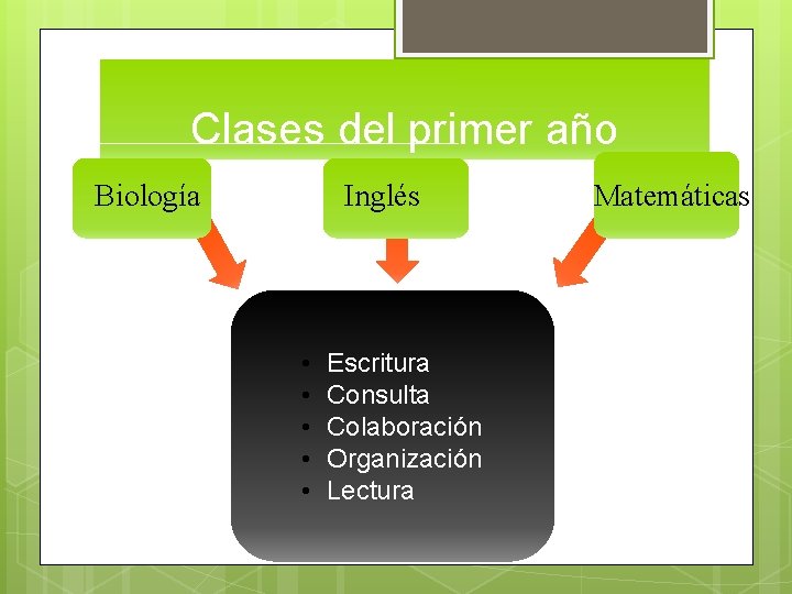 Clases del primer año Biología Inglés • • • Escritura Consulta Colaboración Organización Lectura