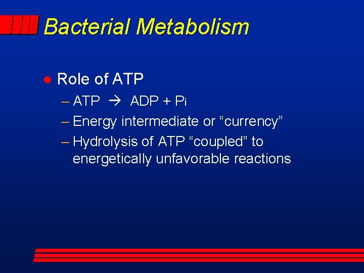 Bacterial Metabolism l Role of ATP – ATP ADP + Pi – Energy intermediate