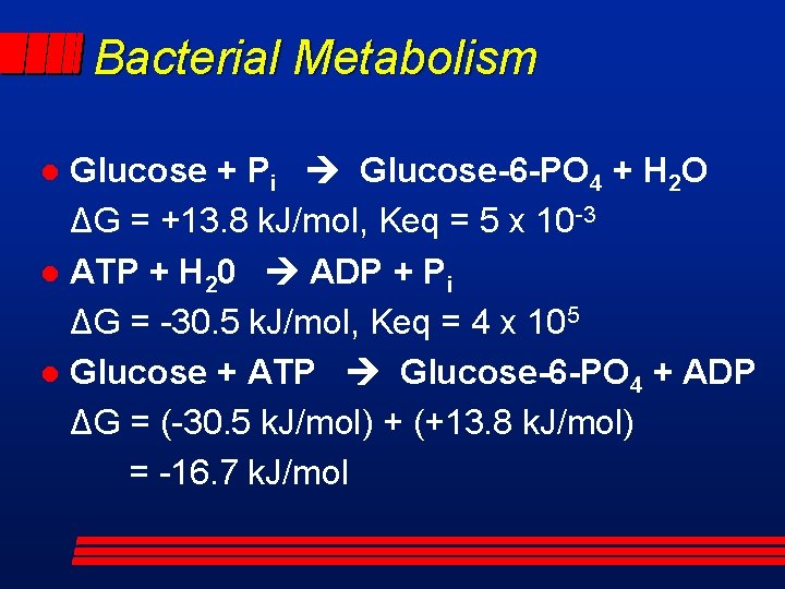 Bacterial Metabolism Glucose + Pi Glucose-6 -PO 4 + H 2 O ΔG =