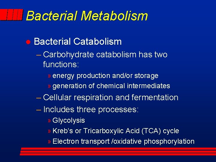 Bacterial Metabolism l Bacterial Catabolism – Carbohydrate catabolism has two functions: » energy production