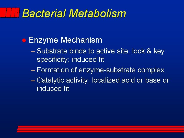 Bacterial Metabolism l Enzyme Mechanism – Substrate binds to active site; lock & key
