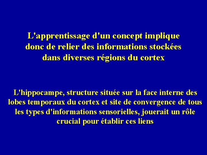 L'apprentissage d'un concept implique donc de relier des informations stockées dans diverses régions du