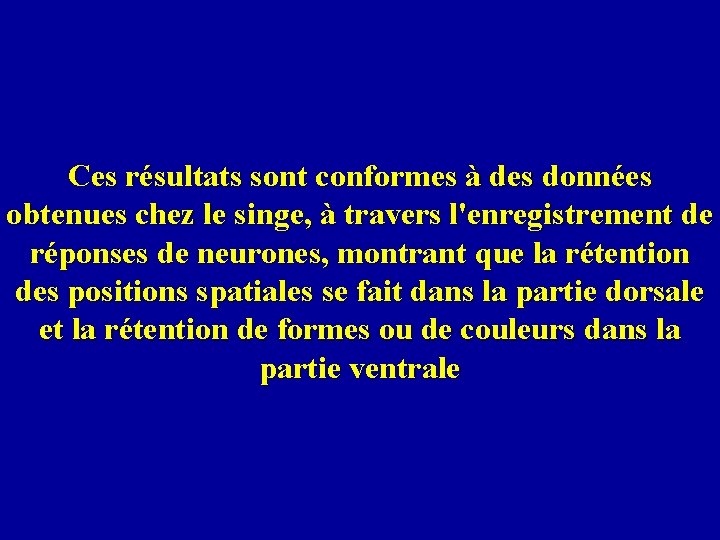 Ces résultats sont conformes à des données obtenues chez le singe, à travers l'enregistrement