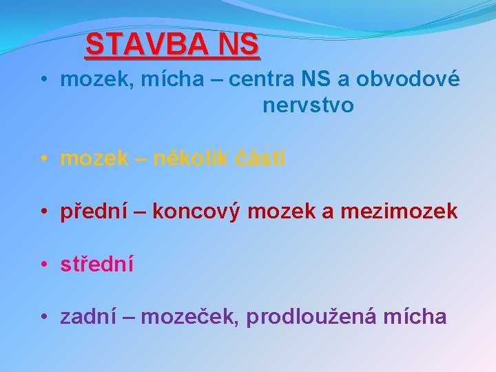 STAVBA NS • mozek, mícha – centra NS a obvodové nervstvo • mozek –