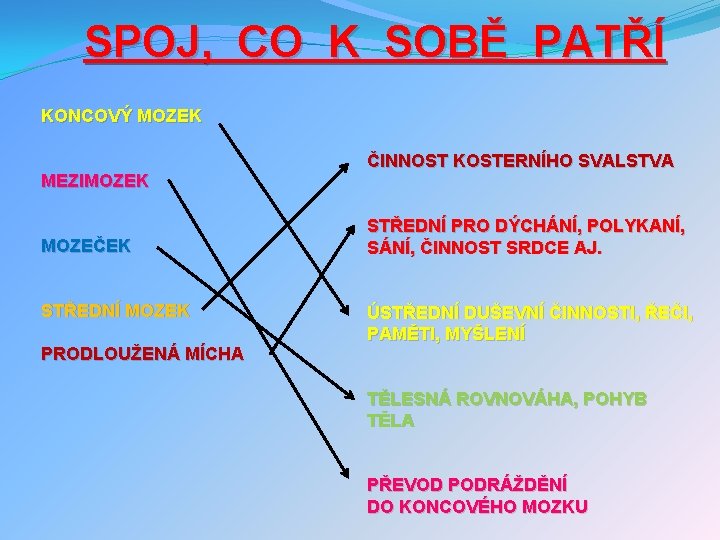 SPOJ, CO K SOBĚ PATŘÍ KONCOVÝ MOZEK MEZIMOZEK MOZEČEK STŘEDNÍ MOZEK PRODLOUŽENÁ MÍCHA ČINNOST