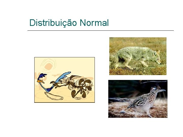 Distribuição Normal 